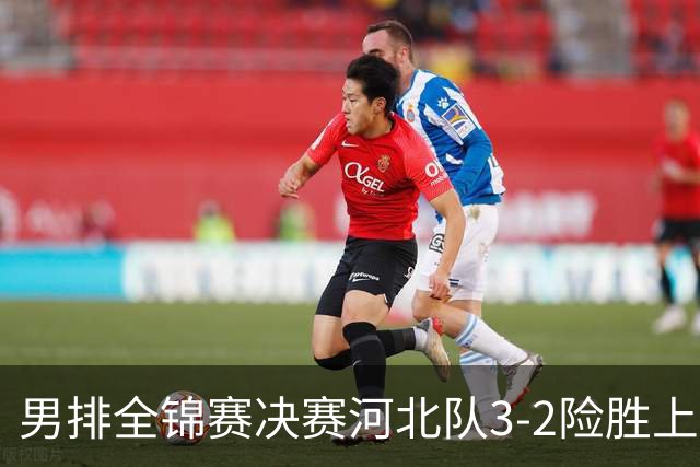 男排全锦赛决赛河北队3-2险胜上海 斩获队史首冠